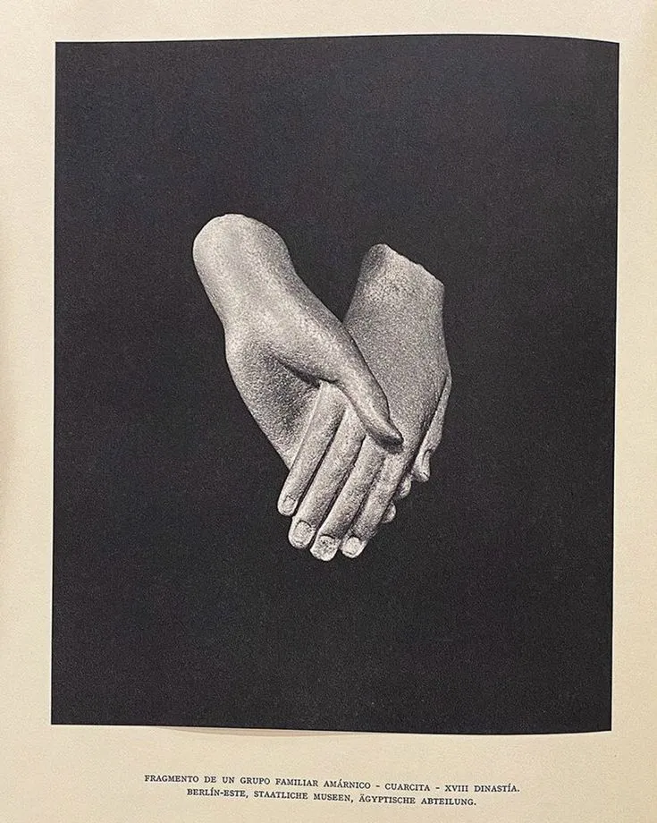 ac51dc896bd8b0340b579f3e3910d0bc copy_8_11zon